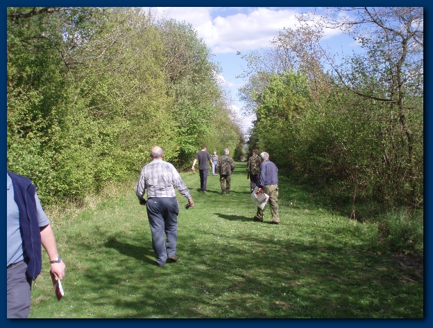 600x449 pixels (191K)